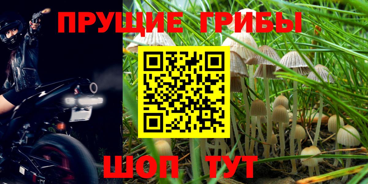 Галлюциногенные грибы MAGIC MUSHROOMS Шуя