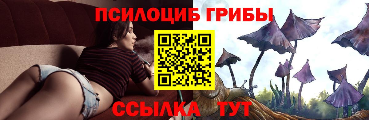закладки  Вход с VPN  Галлюциногенные грибы мицелий  Шуя  Галлюциногенные грибы Psilocybine cubensis 